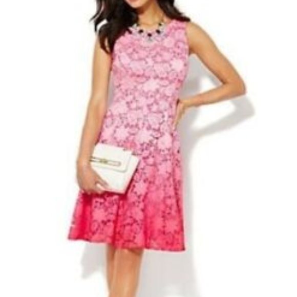 New York & Company Dresses & Skirts - New York and Company womens dress size 0 pink ombre lace fit & flare mini